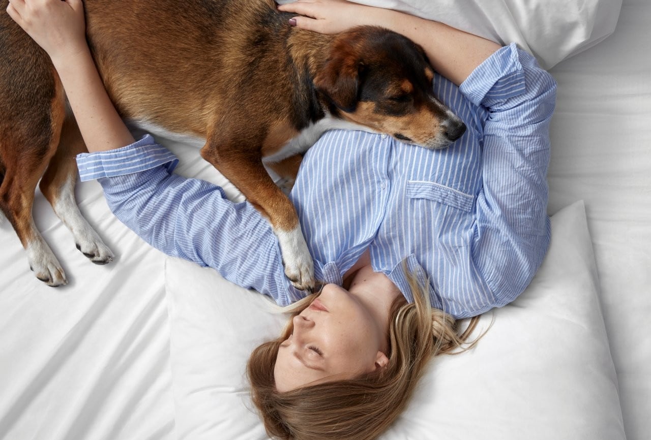 das neue bett singelwochen banner